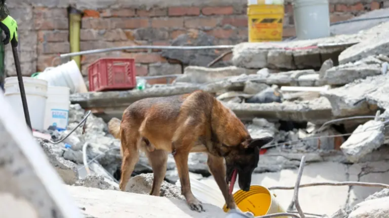 Terremoto en Colombia deja 304 muertos y más de 292 mil afectados según UNGRD UNGRD