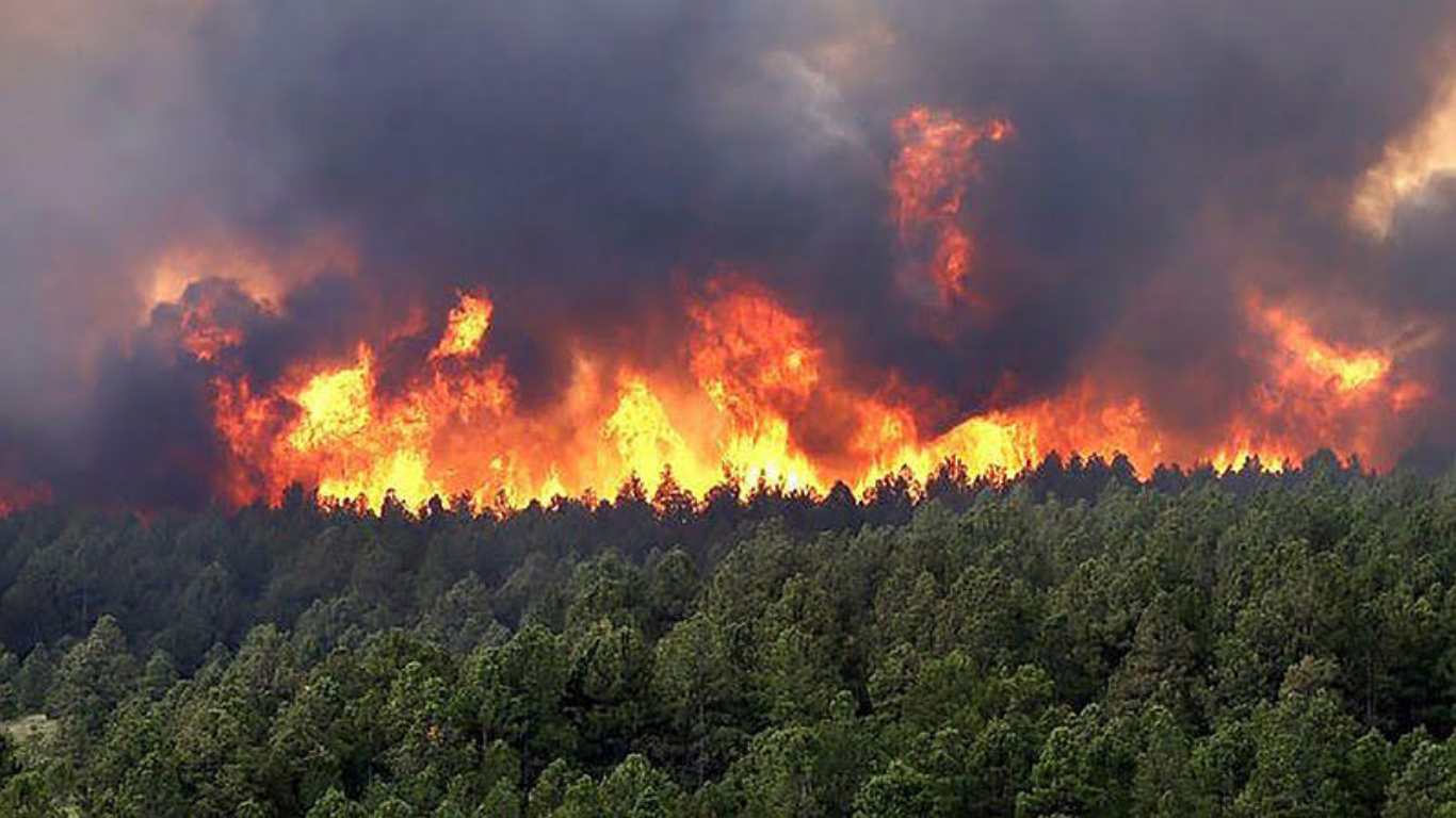 Colombia mantiene 13 incendios activos y MinAmbiente suspende quemas controladas Incendios forestales