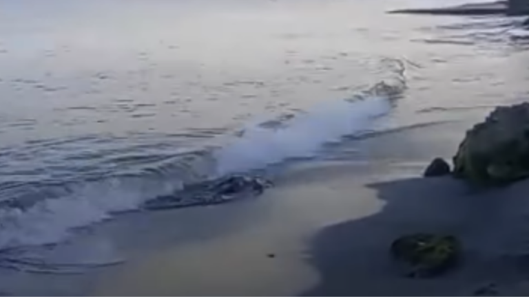 Cuerpo de hombre fue hallado en zona de playa del Aeropuerto Simón Bolívar cuerpo