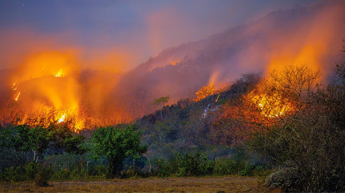 Alerta en Payandé: incendio forestal amenaza viviendas y planta de Cemex Incendio Forestal