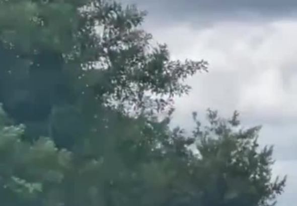Avión de carga de Amazon se sale de la pista y termina en una carretera de Miami avión de carga