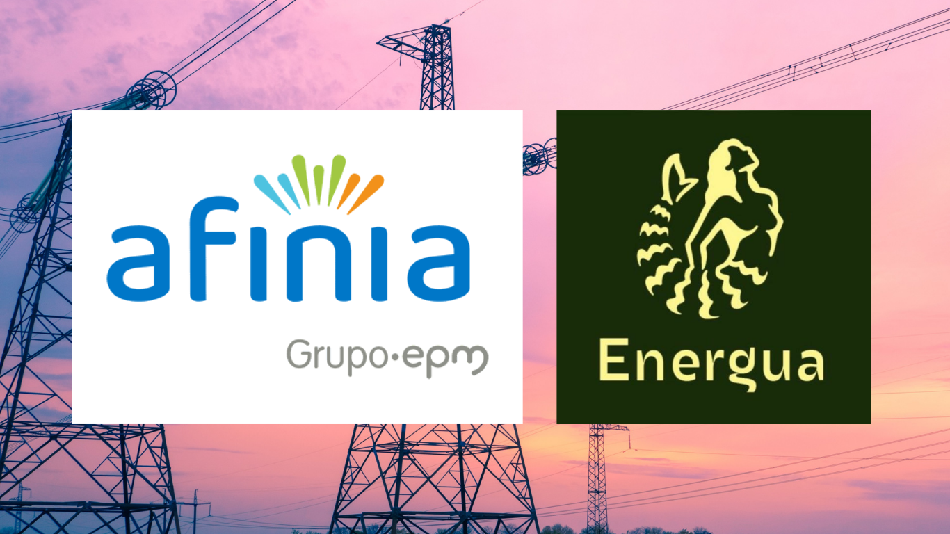 De afinia a energua ¿cambia sólo el nombre? Energua