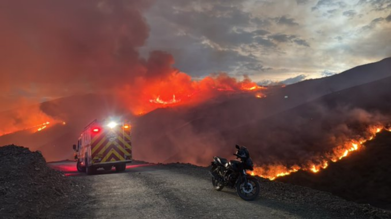 incendios forestales