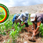 ASOCAMTICE marchará en Cesar por una reforma agraria efectiva ASOCAMTICE