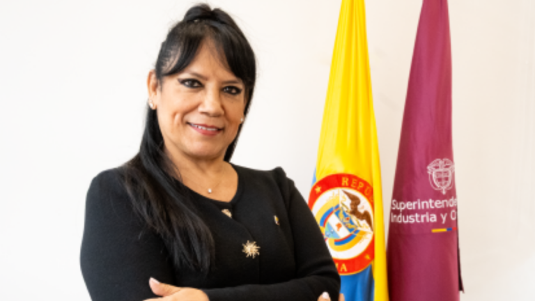 Demandan ante el Consejo de Estado el nombramiento de María Rocío Cortés en la SIC María Rocío Cortés